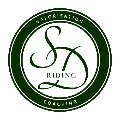 Contact SD Riding - logo de l'entreprise
Bretteville-sur-Laize