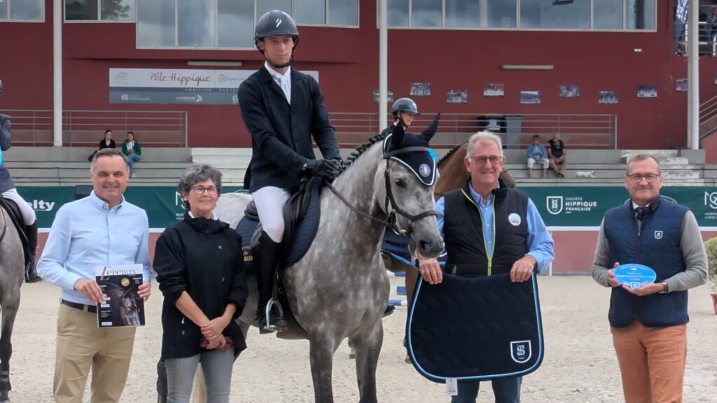 Prestations cheval Caen débourrage, valorisation et coaching