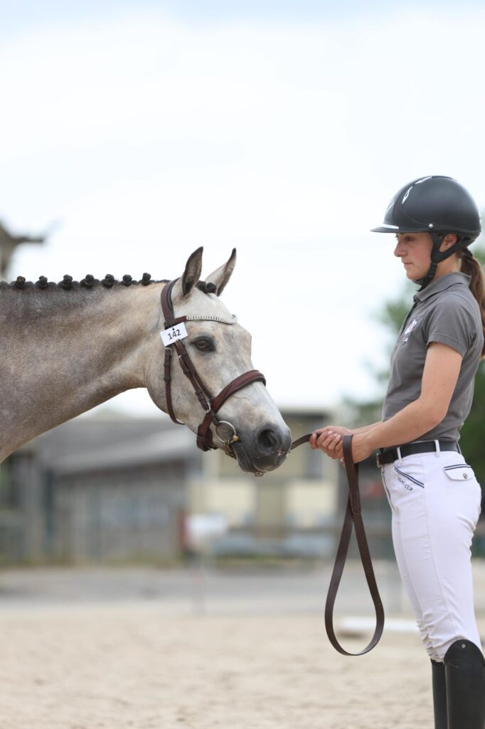 Prestations cheval Caen débourrage, valorisation et coaching