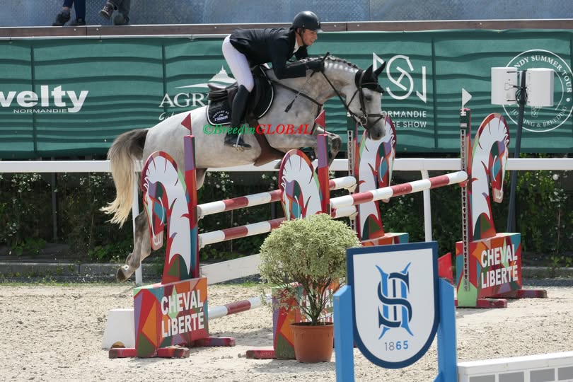 525964741 4169640343309320 4197725974689256017 n