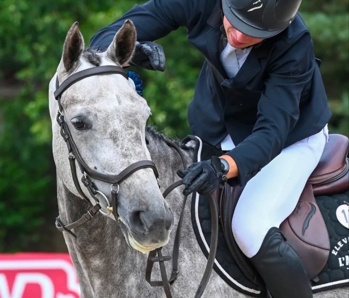 554997884 17903714991267889 8462284585449706665 n 2