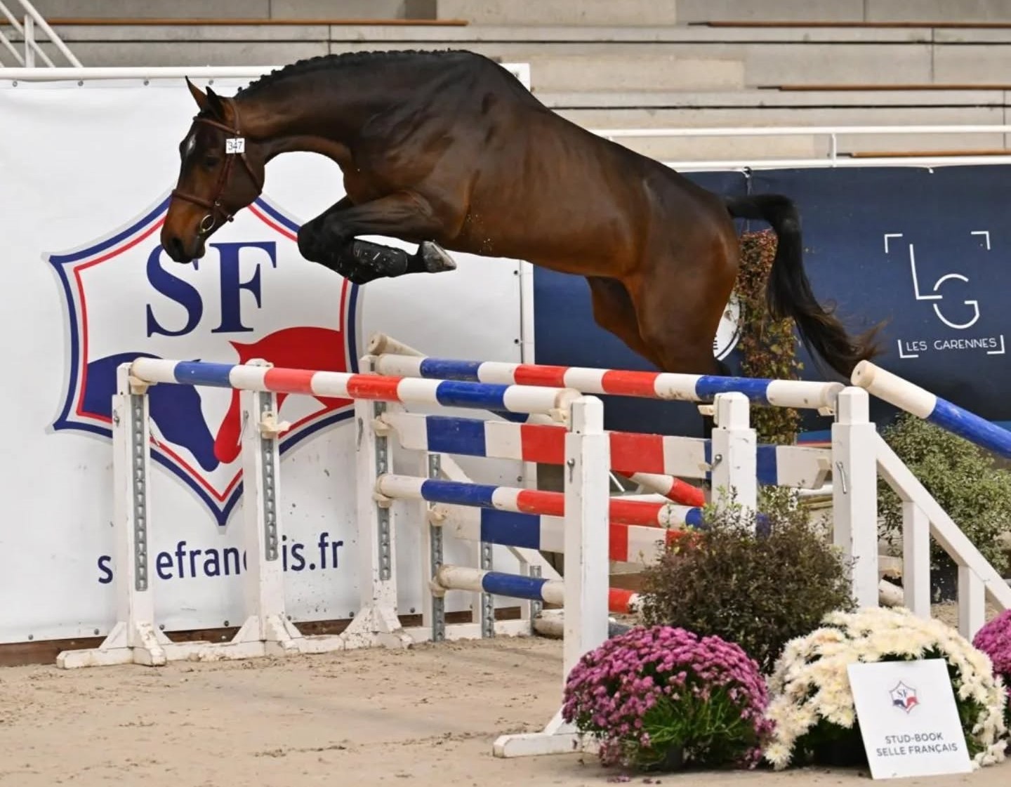 587295829 17910175539267889 3758539437430497683 n 1