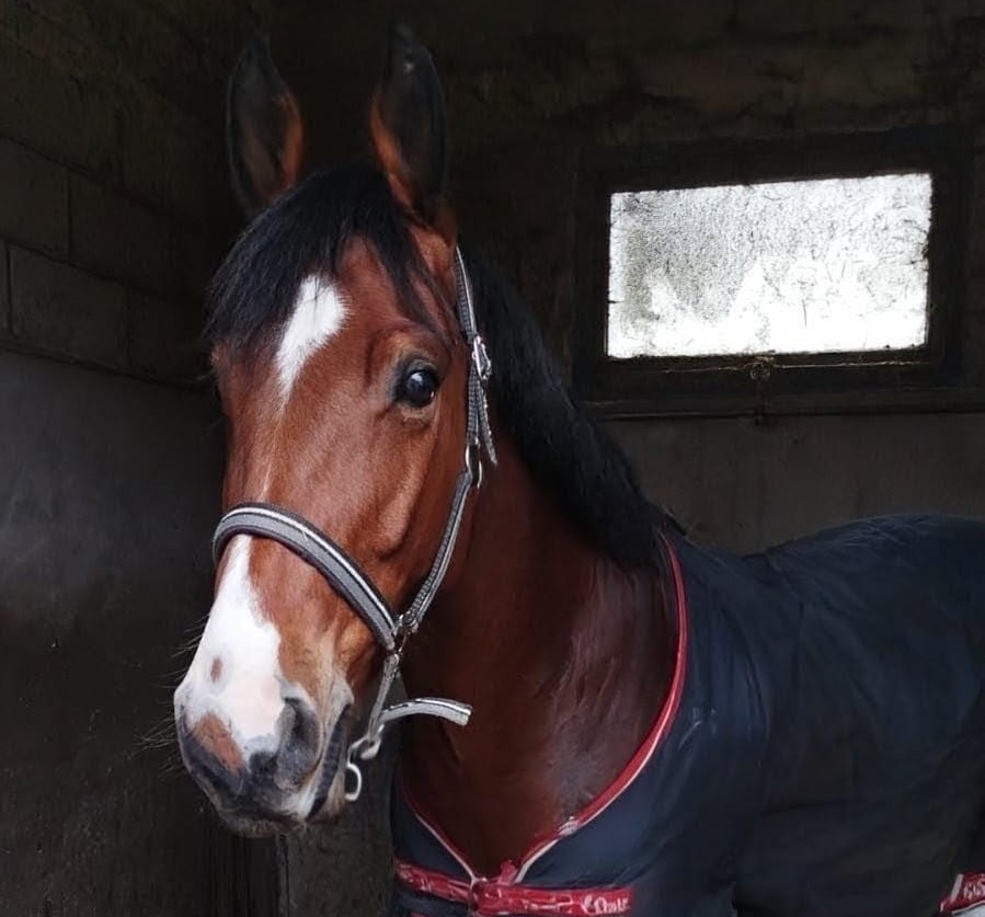 WhatsApp Image 2025 12 21 at 13.27.30 2